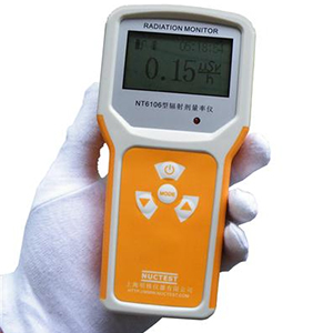NT6106型便携式辐射剂量率仪（防护级）(图1)