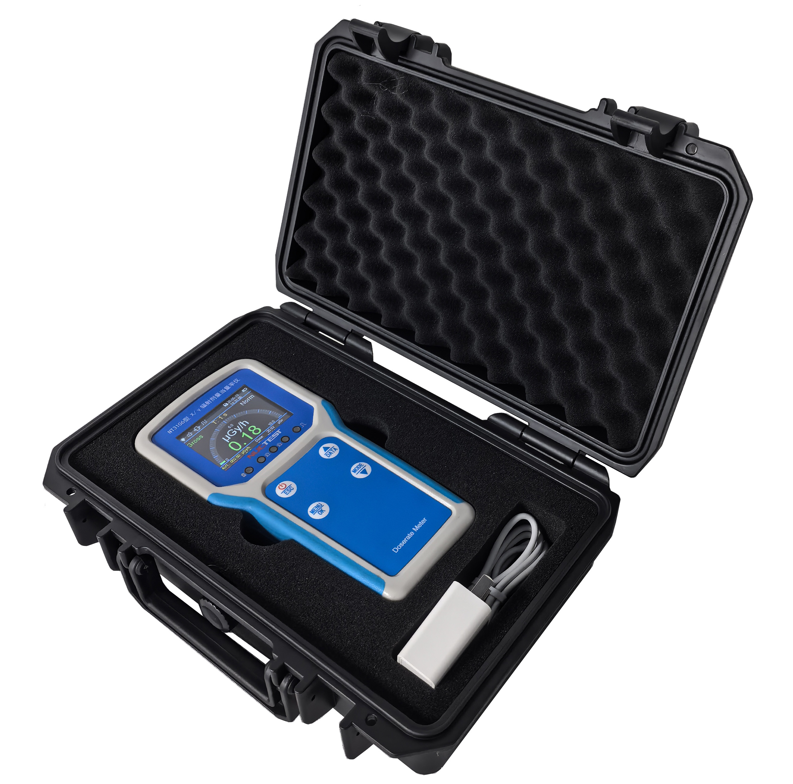 NT3106 型 便携式X、γ辐射剂量当量率仪